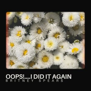 Oops!....I Did It Again