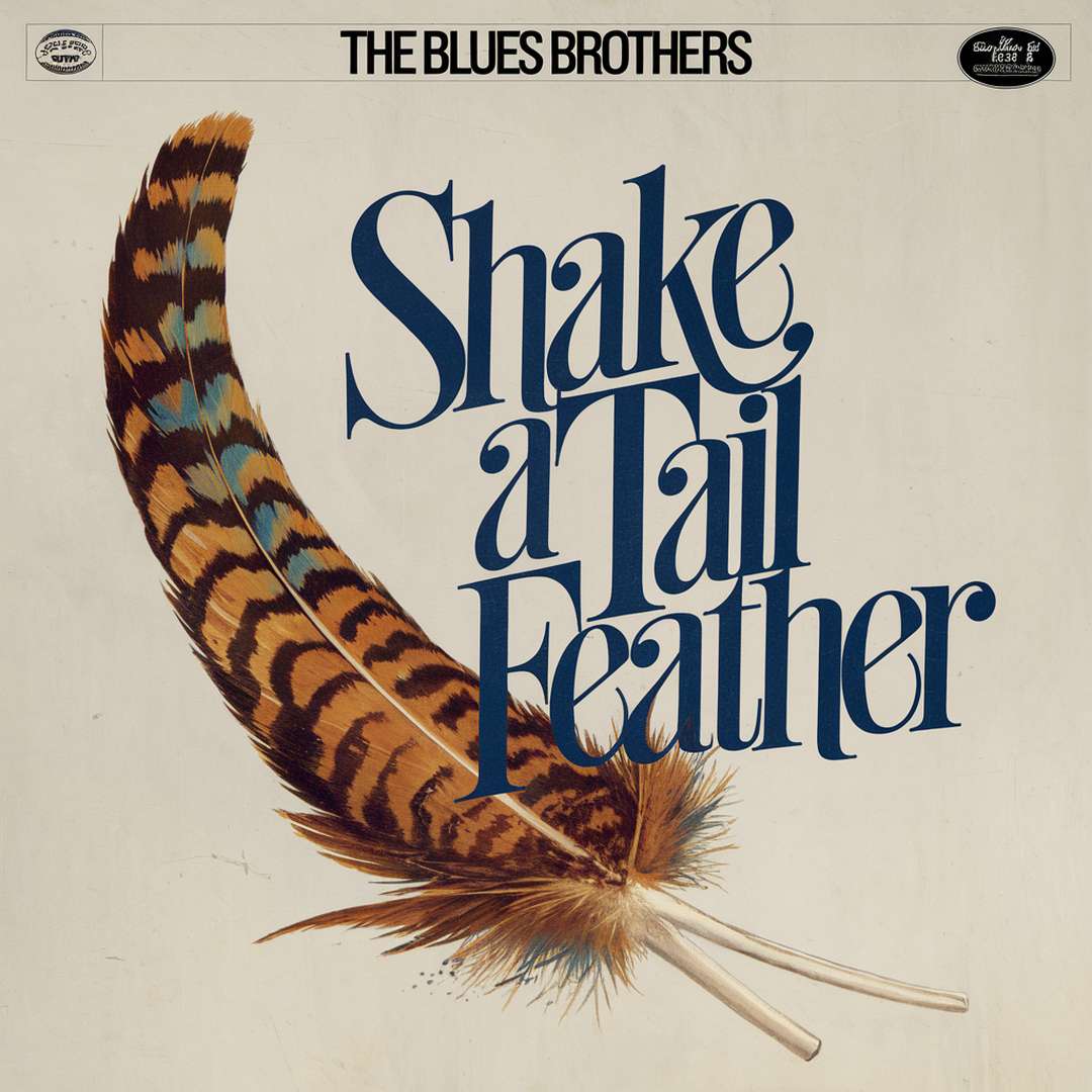 The Blues Brothers - Shake A Tail Feather