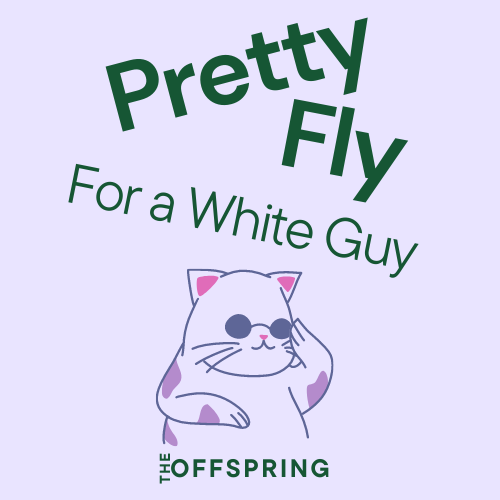 The Offspring - Pretty Fly (For a White Guy)