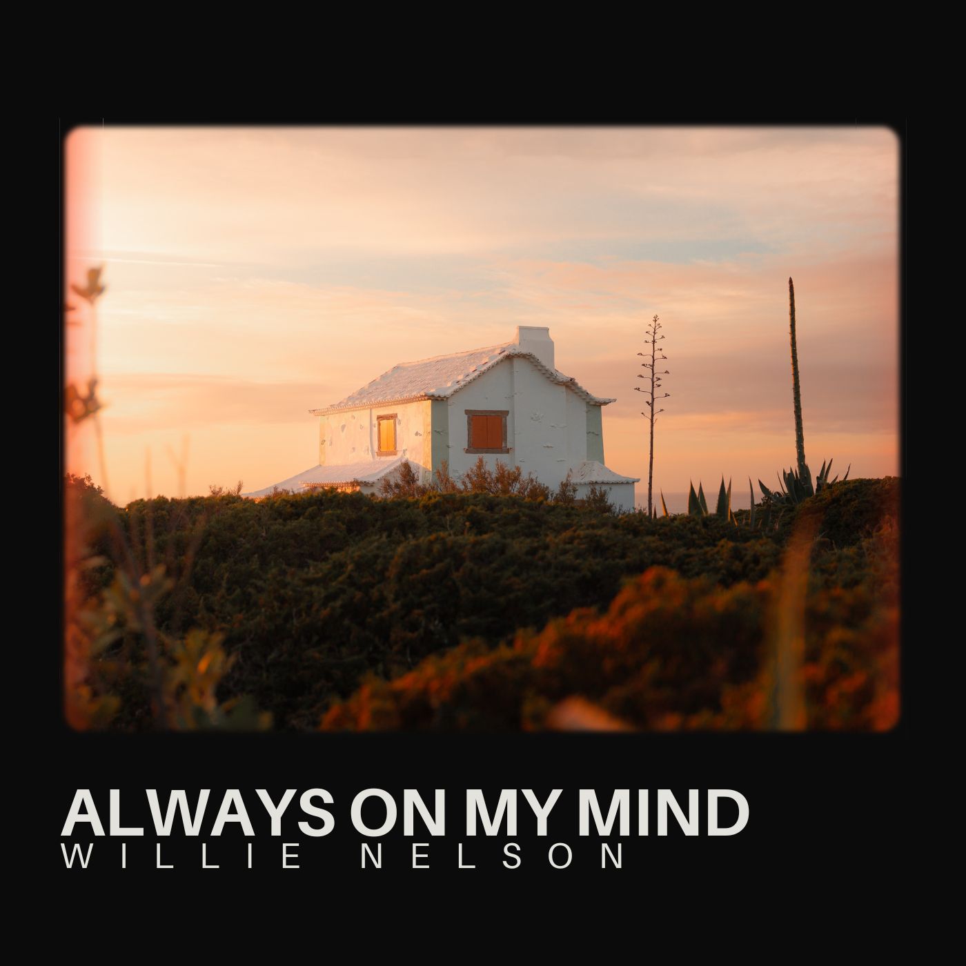 Willie Nelson - Always On My Mind