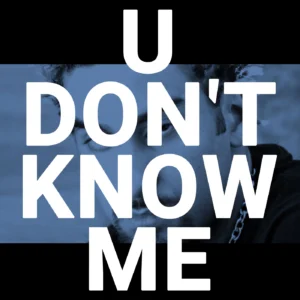 SF1106237-Armand-Van-Helden-You-Dont-Know-Me