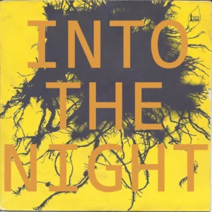 SF1106709-Santana-Feat.-Chad-Kroeger-Into-The-Night