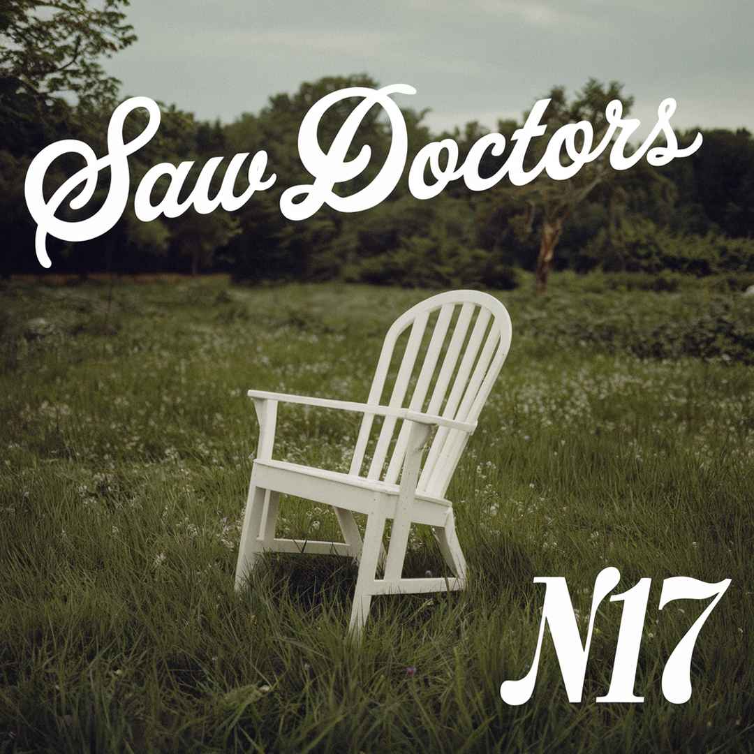 Saw Doctors - N17