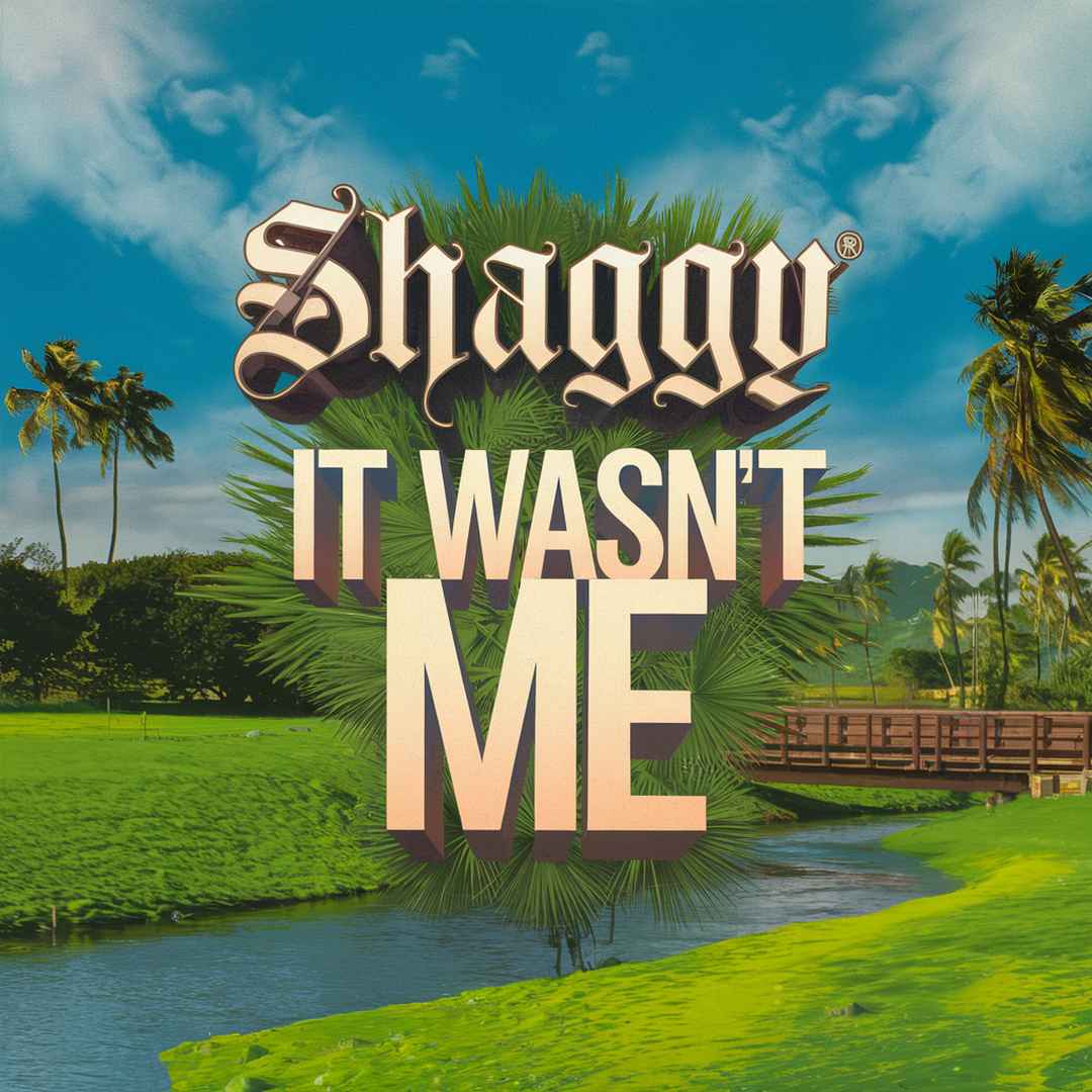 Shaggy - It Wasn’t Me