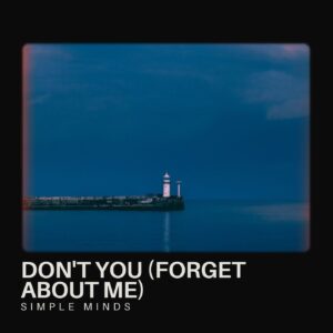 Don't You (Forget About Me)