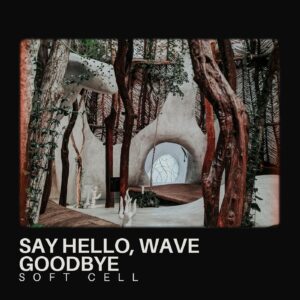 Say Hello, Wave Goodbye