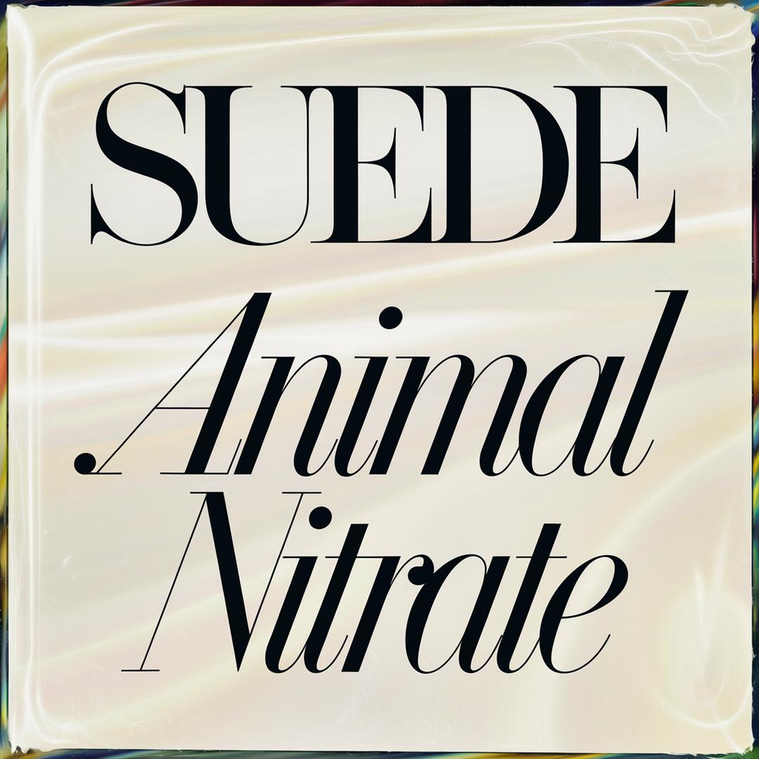 Suede - Animal Nitrate