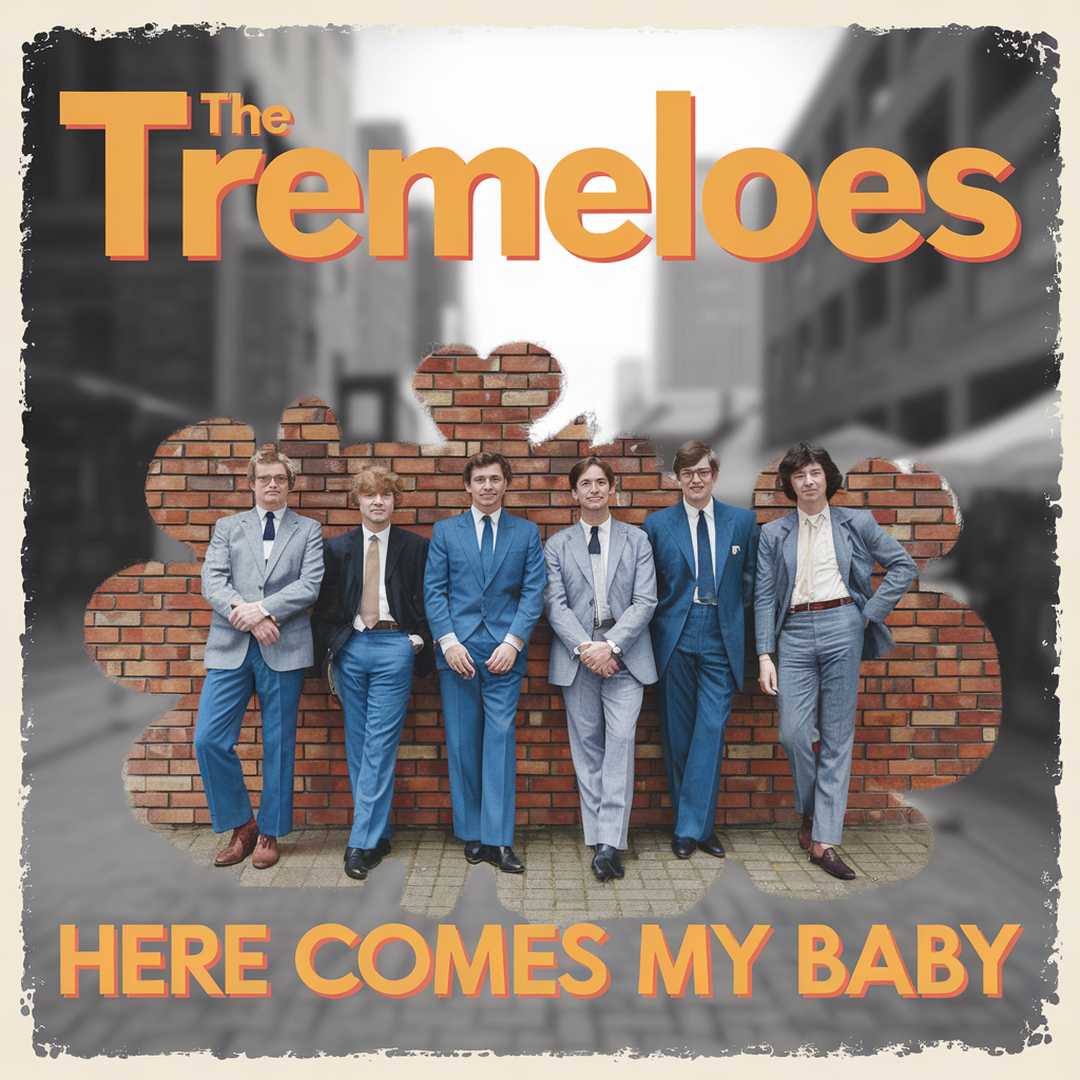 The Tremeloes - Here Comes My Baby