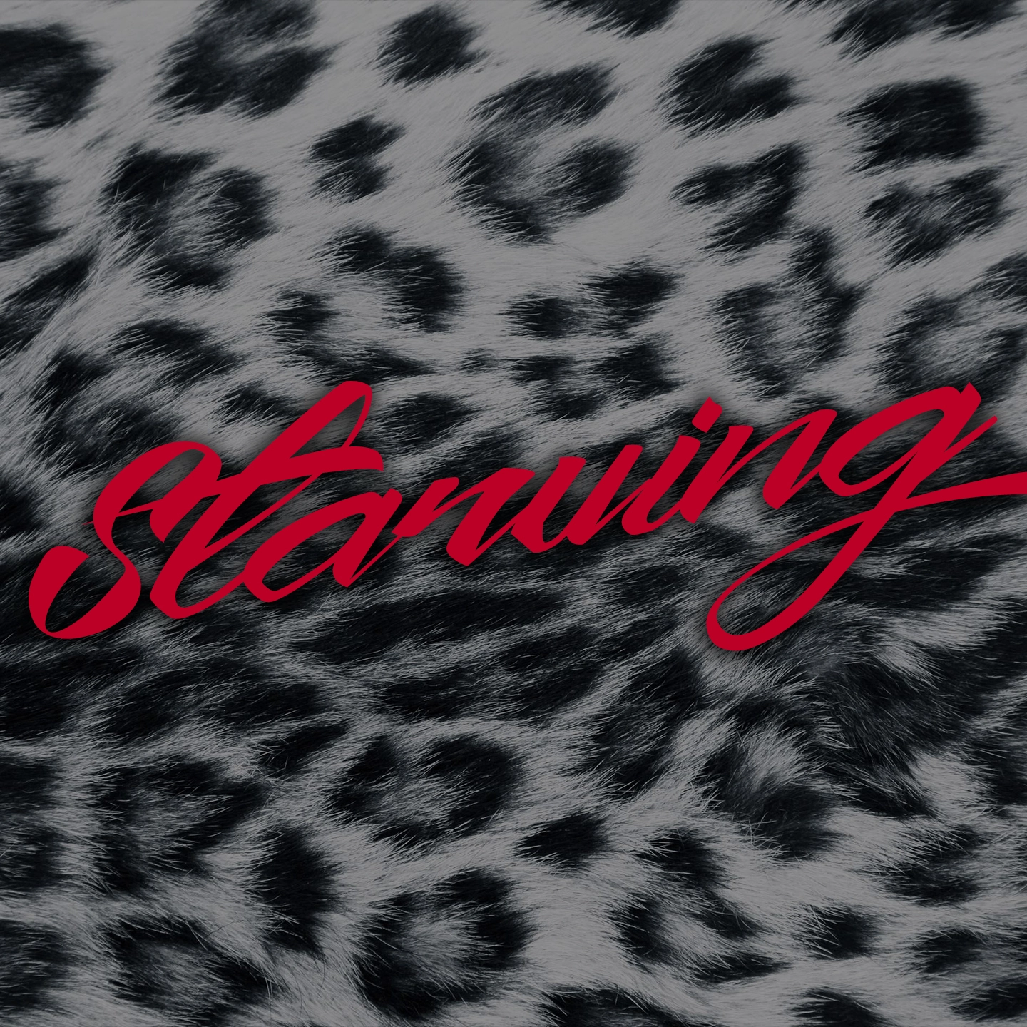 Hailee Steinfeld - Starving