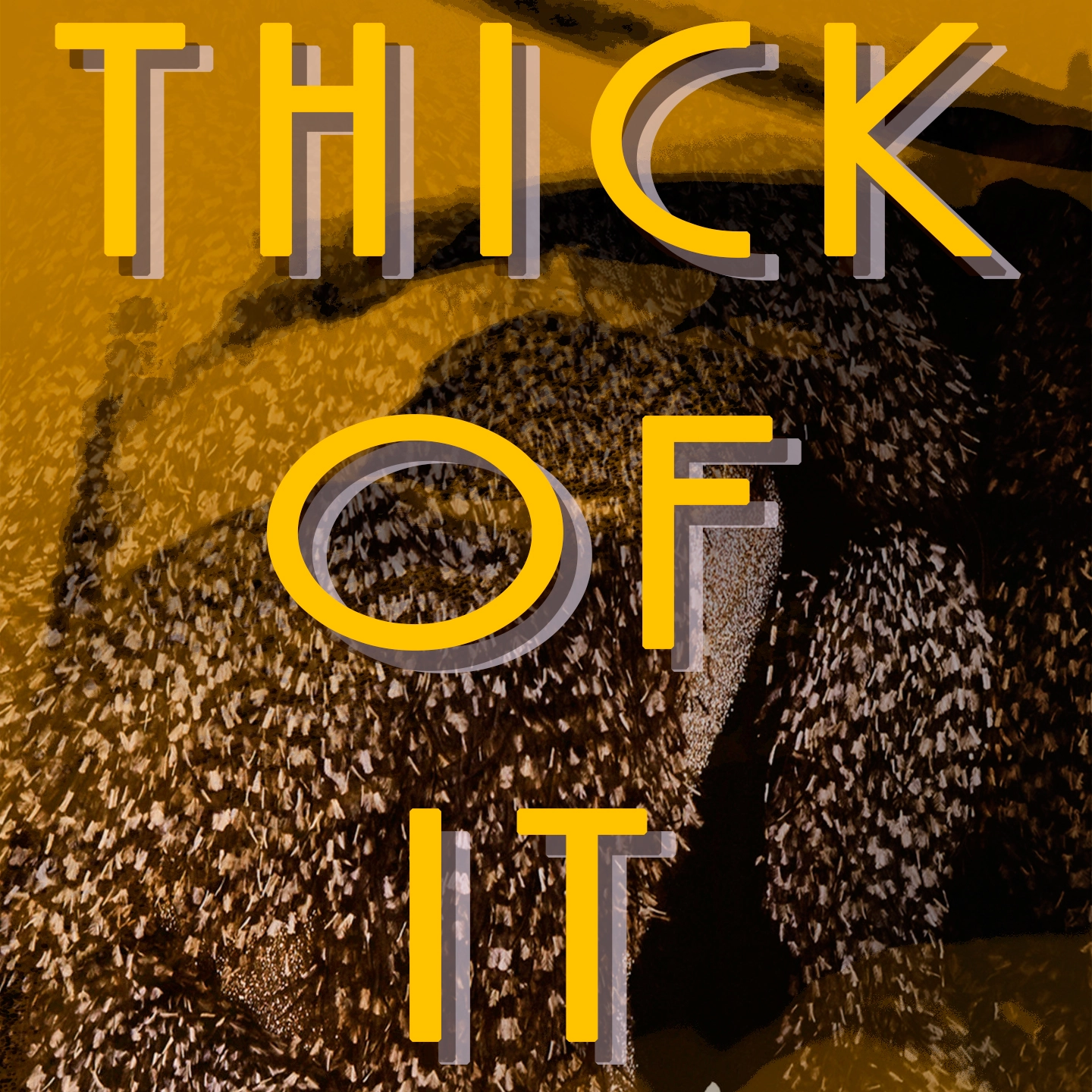 Mary J Blige - Thick Of It