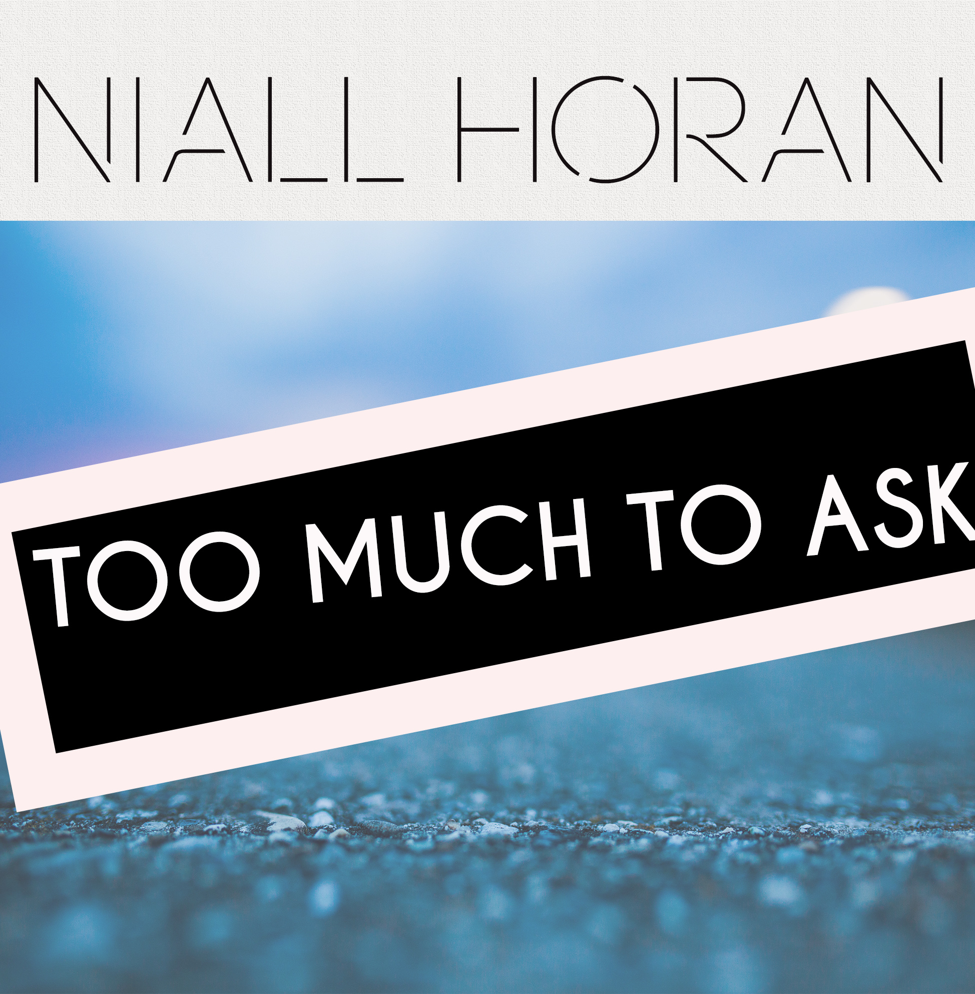 Niall Horan - Too Much To Ask