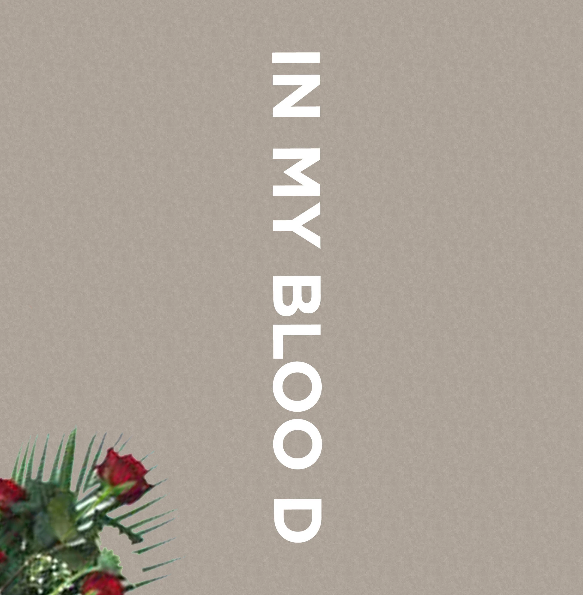 Shawn Mendes - In My Blood