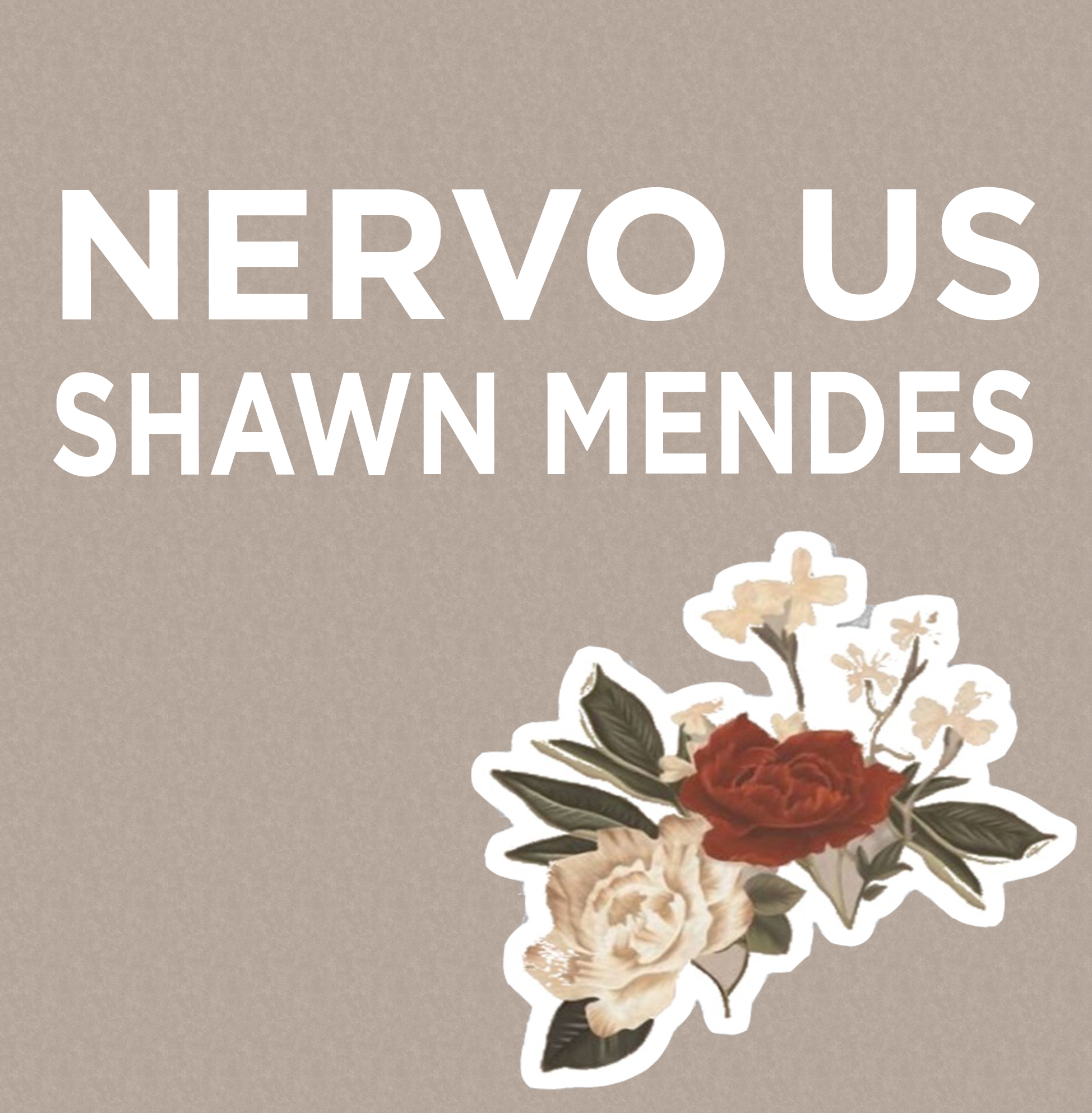 Shawn Mendes - Nervous