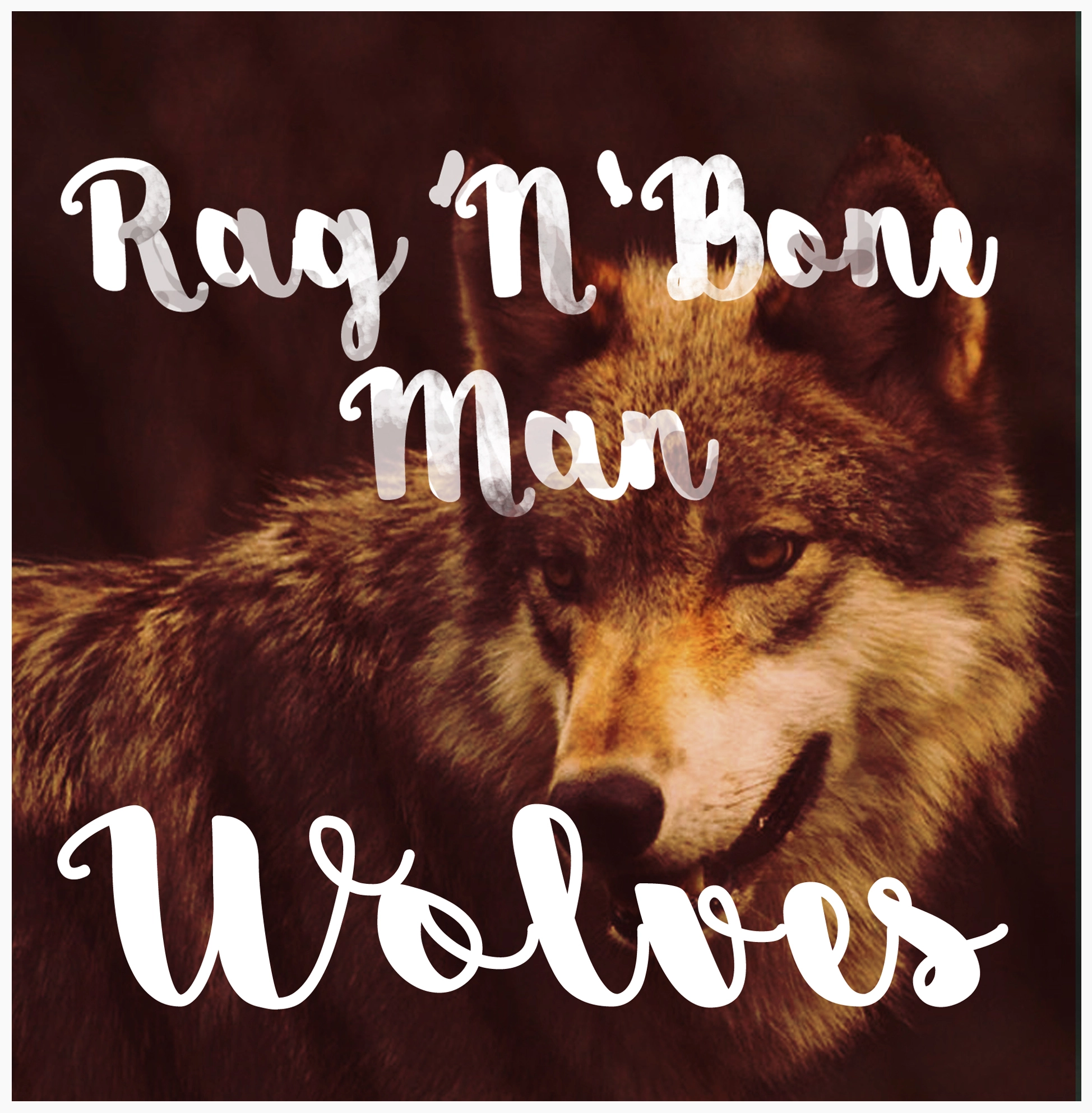 Rag 'n' Bone Man - Wolves
