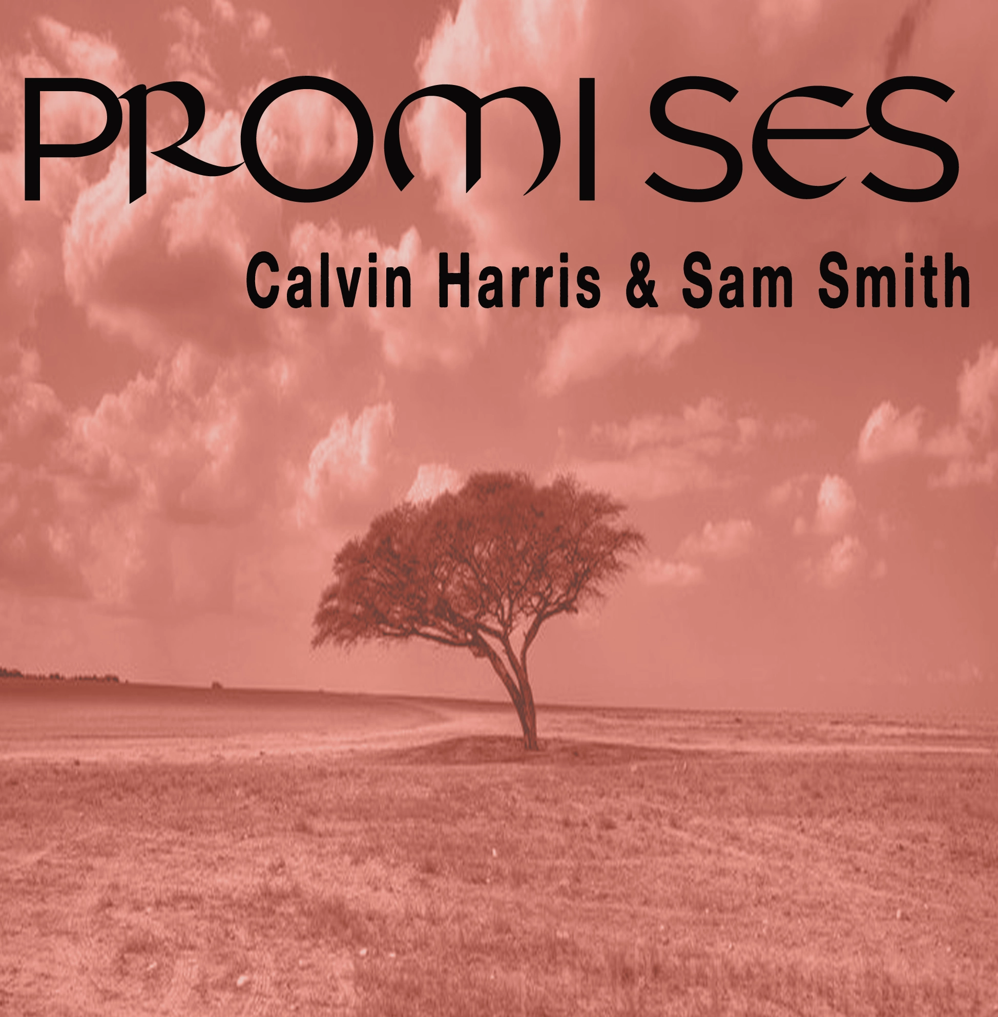 Calvin Harris - Promises