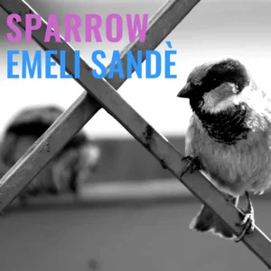 SF1119513-Emeli-Sande-Sparrow