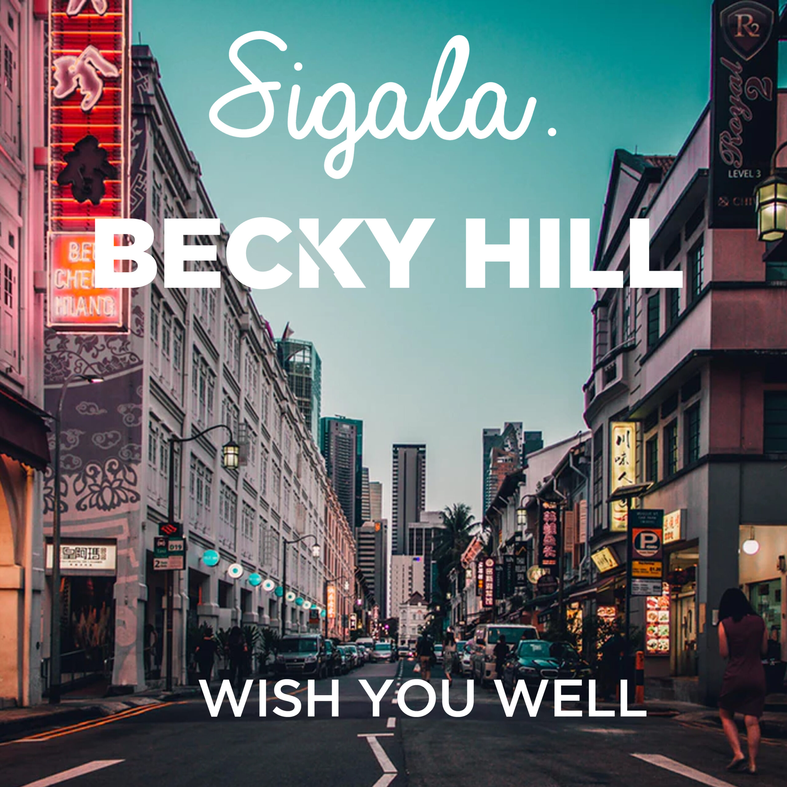 Sigala - Wish You Well
