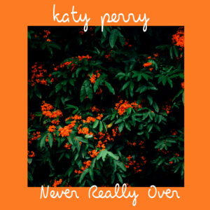 SF1119576 – Katy Perry – Never Really Over
