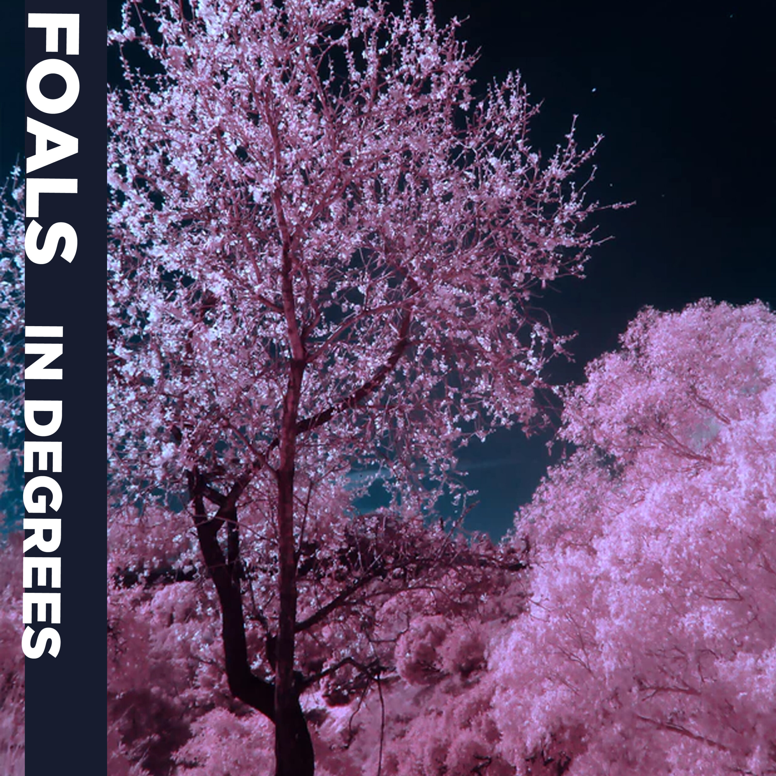 Foals - In Degrees