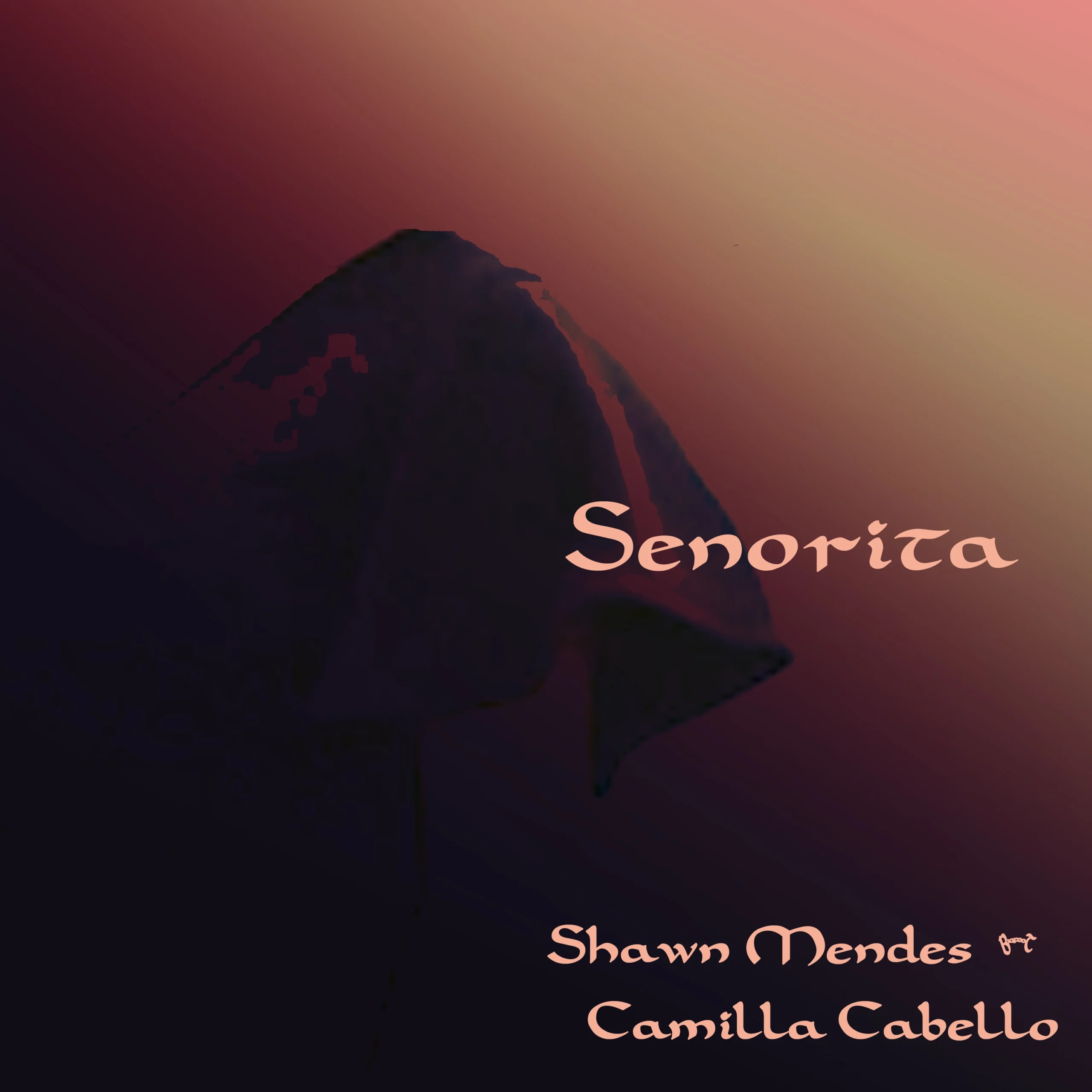 Shawn Mendes - Senorita