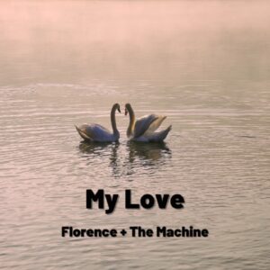 SF1125120 – Florence + The Machine – My Love