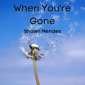 SF1125150-Shawn-Mendes-When-You_re-Gone