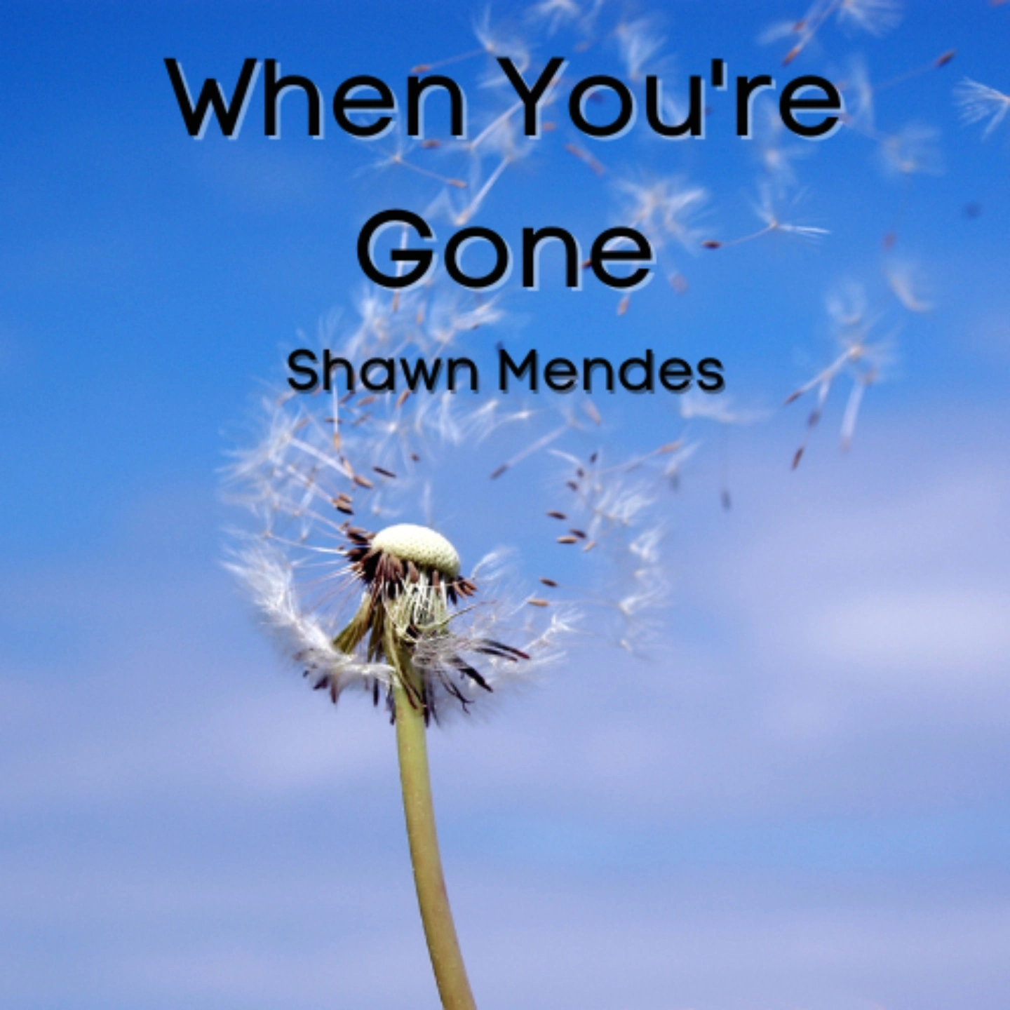 Shawn Mendes - When You're Gone