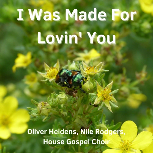 Oliver Heldens - I Was Made For Lovin' You