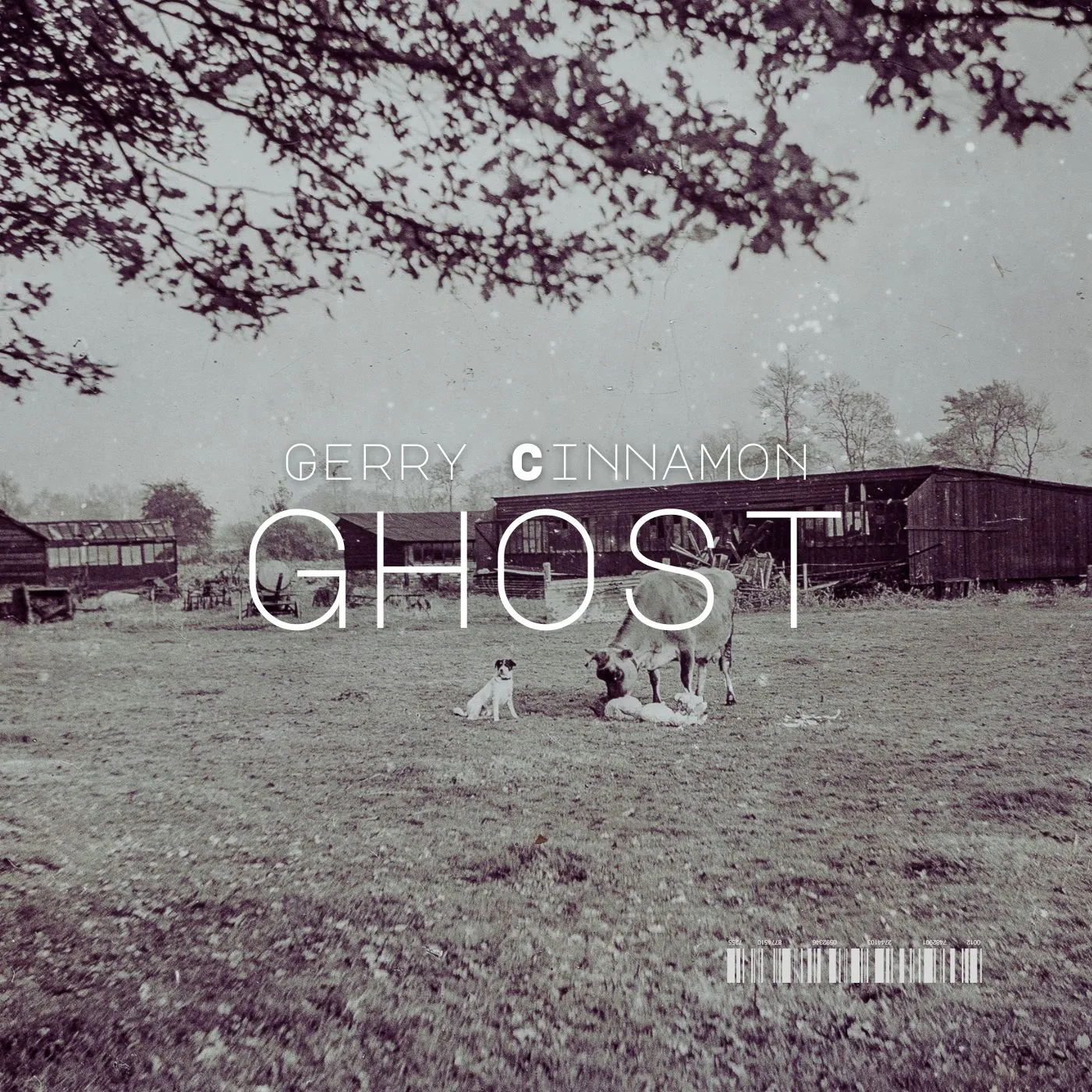 Gerry Cinnamon - Ghost
