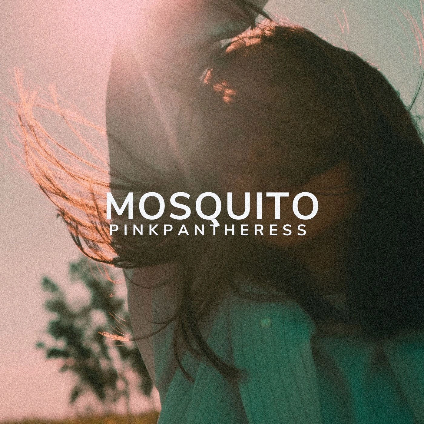 PinkPanthress - Mosquito