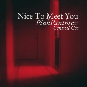 SF1127521-PinkPanthress-feat-Central-Cee-Nice-To-Meet-You-Artwork