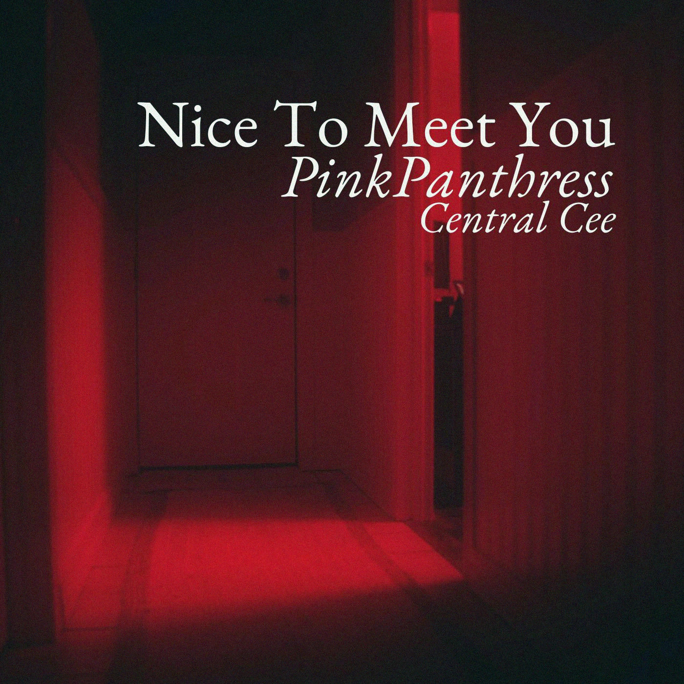 PinkPanthress - Nice To Meet You