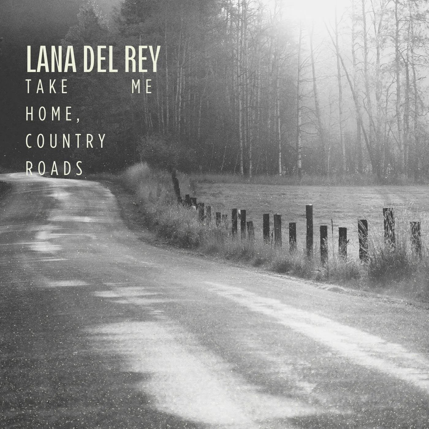 Lana Del Rey - Take Me Home, Country Roads