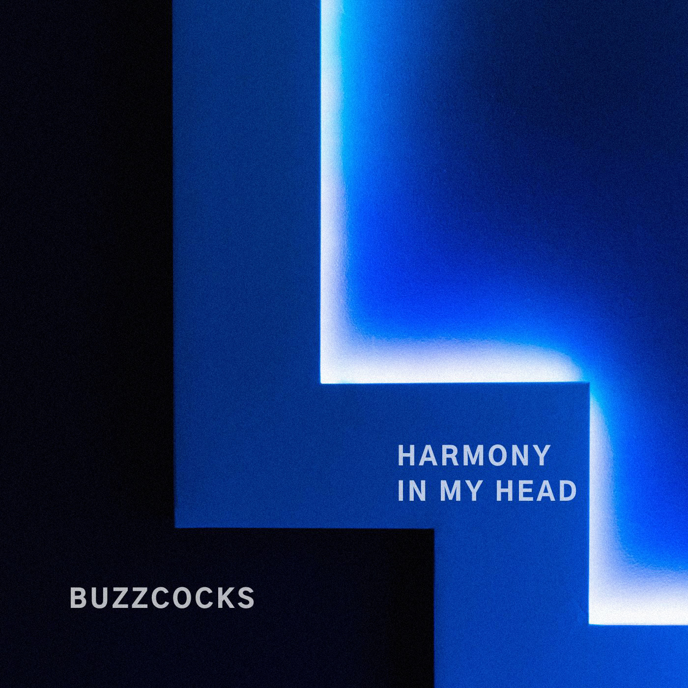 Buzzcocks - Harmony In My Head