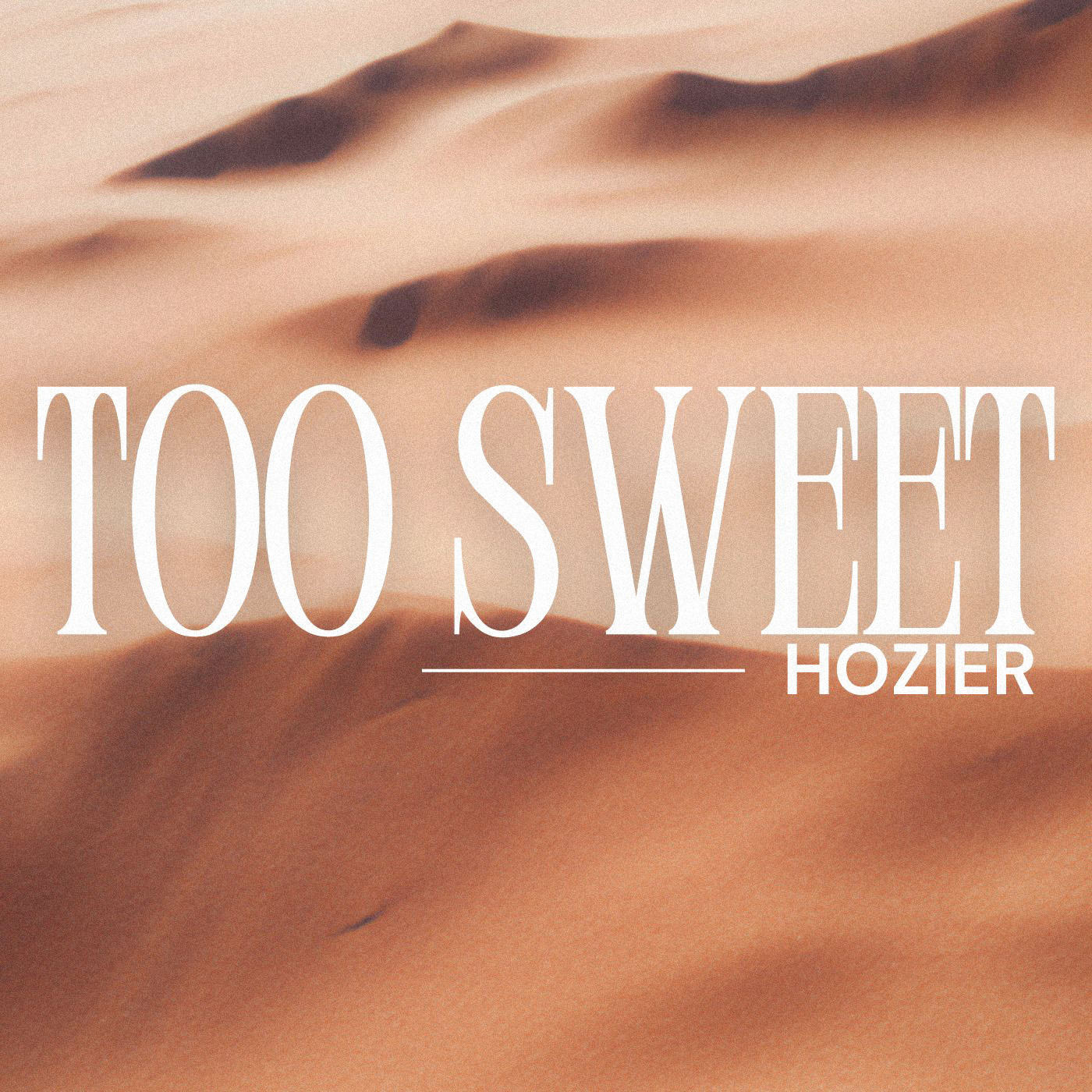 Hozier - Too Sweet