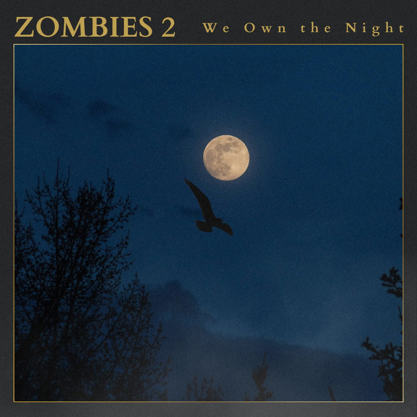 Zombies 2 - We Own the Night