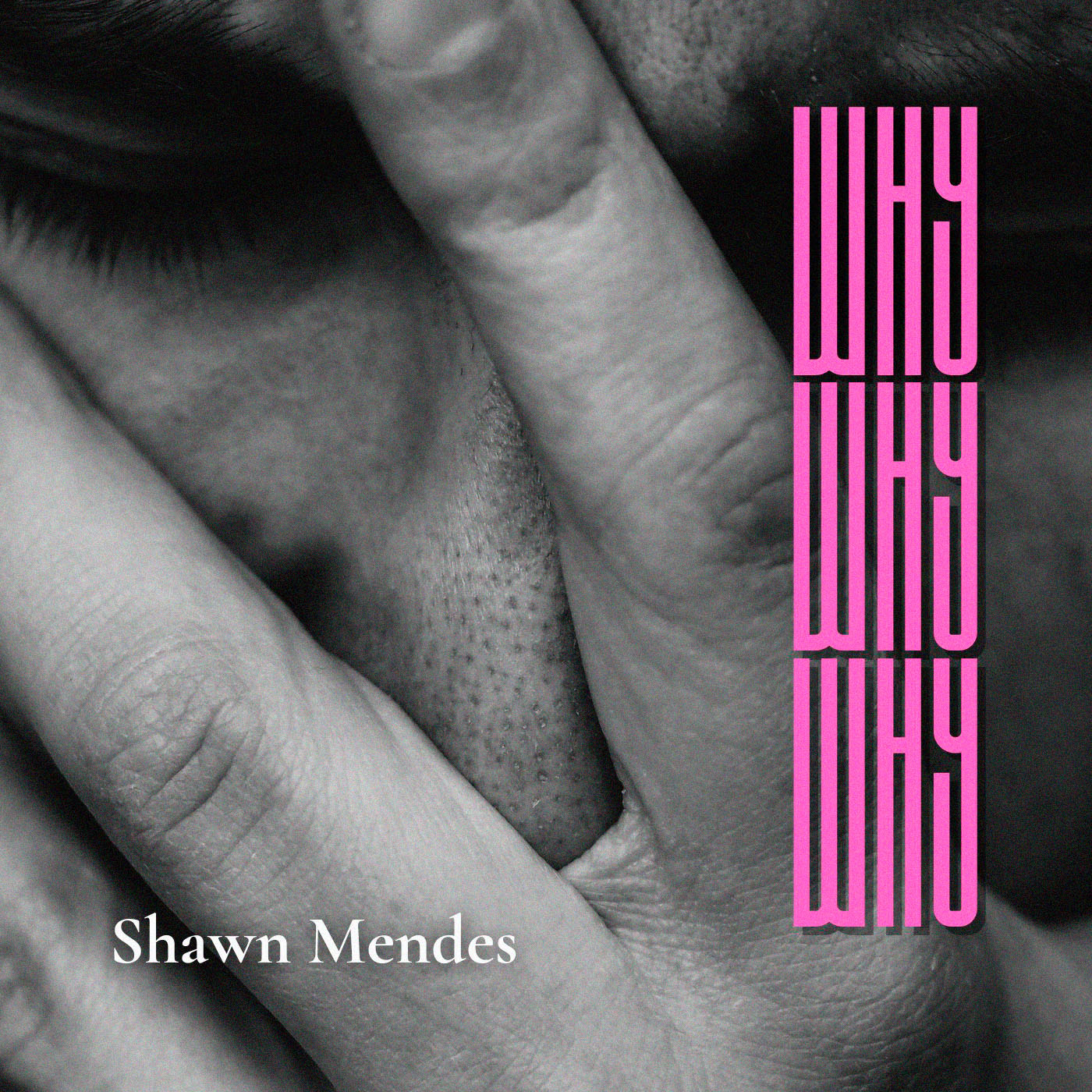 Shawn Mendes - Why Why Why