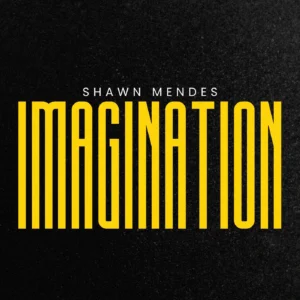 SF1128875-Shawn-Mendes-Imagination-Artwork