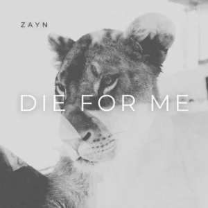 SF1129704-ZAYN-Die-For-Me-Artwork