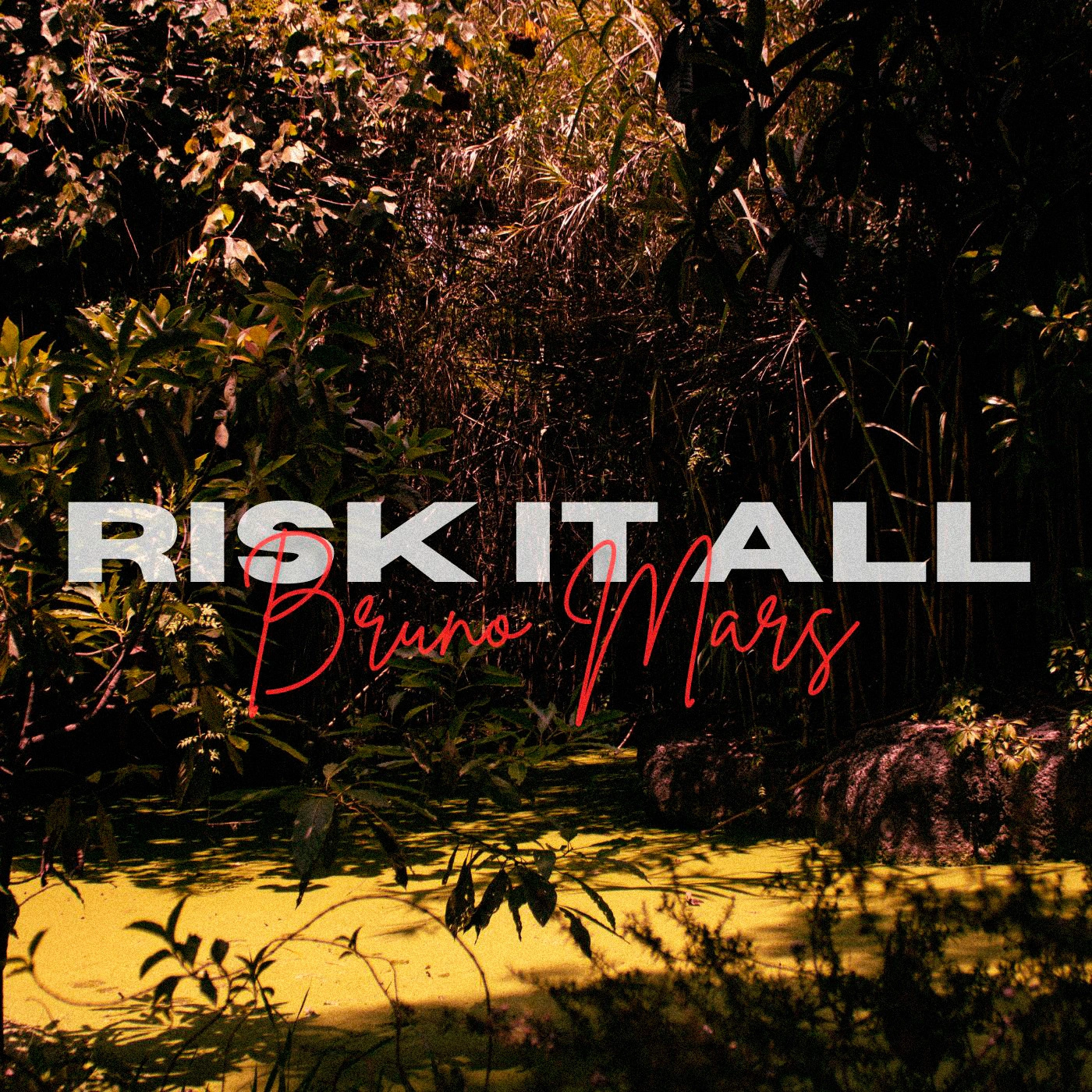 Bruno Mars - Risk It All