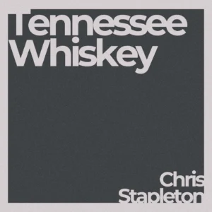 Tennessee Whiskey - wavinstrumental