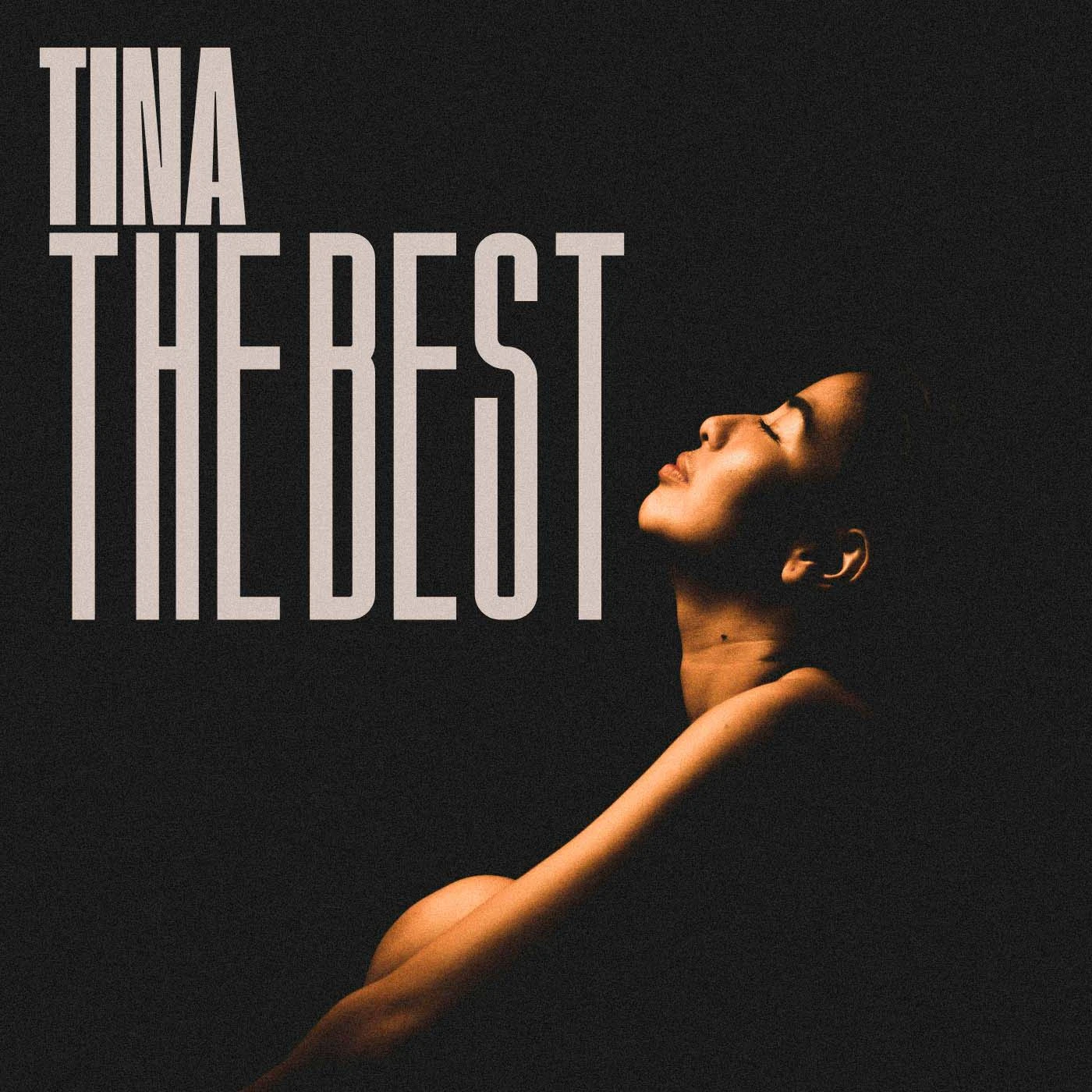 Tina Turner - The Best