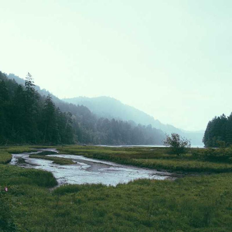 The Pretenders - 2000 Miles