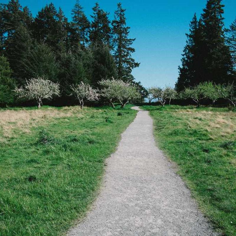 Marty Robbins - A White Sport Coat