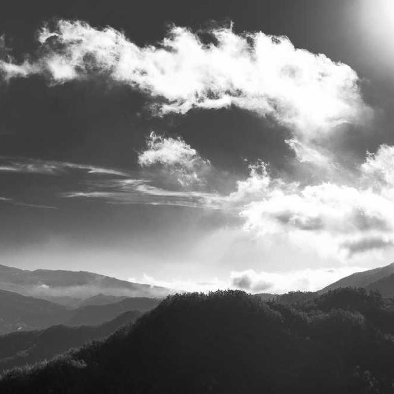 The Seekers - Georgy Girl