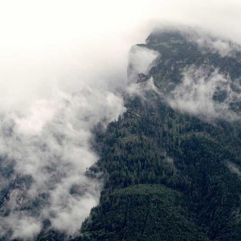 The Pretenders - 2000 Miles