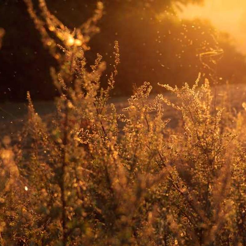 Craig David - 7 Days