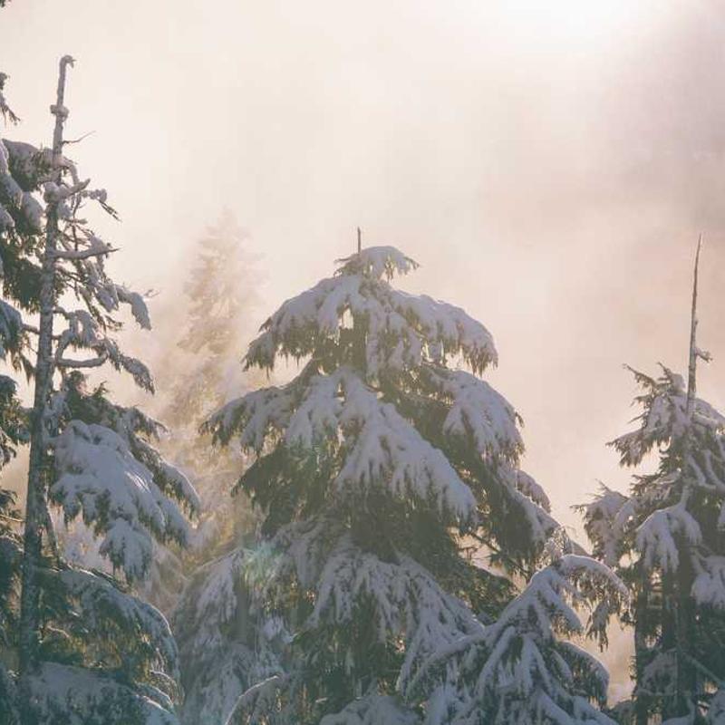 Sandra - (I’ll Never Be) Maria Magdalena