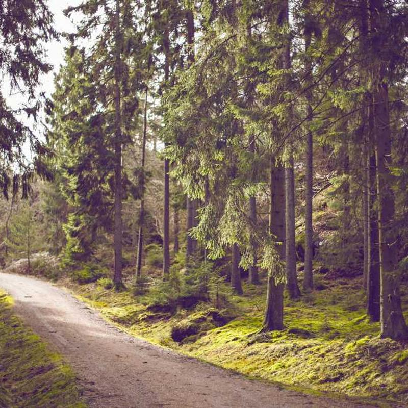 Wilson Pickett - Mustang Sally