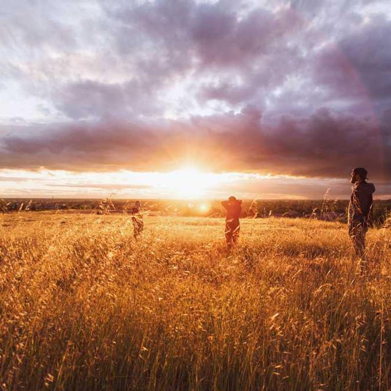 Oasis - Don’t Look Back in Anger